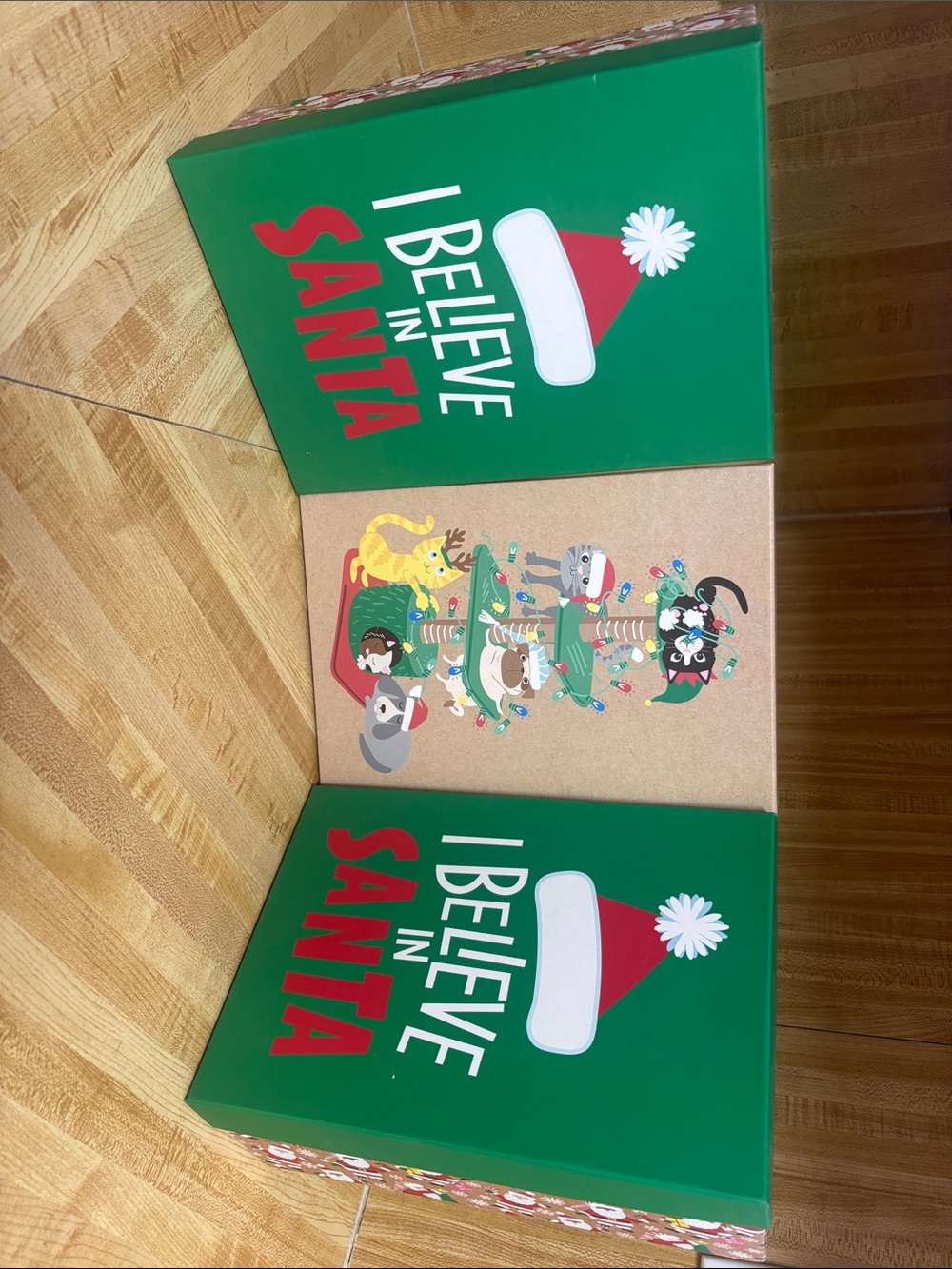 Holiday Decorative Storage Box Set - Green "I Believe in Santa"